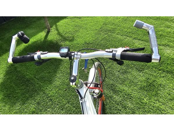 Prachtige RIDLEY THUNDER 2 mountainbike tandem