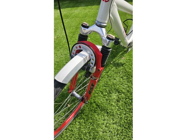 Prachtige RIDLEY THUNDER 2 mountainbike tandem