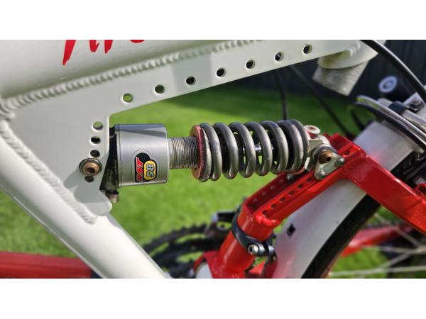 Prachtige RIDLEY THUNDER 2 mountainbike tandem