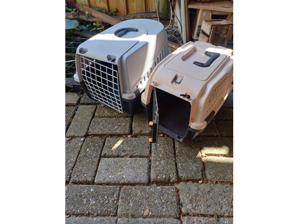 Kattenbak en Reismand