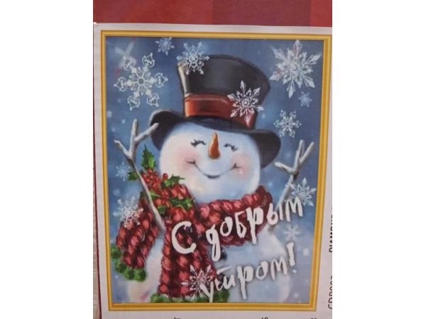 nr 77 Diamond Painting sneeuwpop 50x40cm (rond)