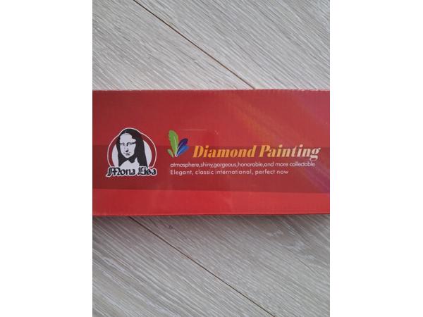 nr 77 Diamond Painting sneeuwpop 50x40cm (rond)