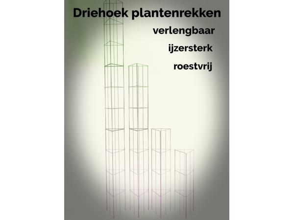 AARDBEIEN TOREN KLIMPLANTENREK etagère
