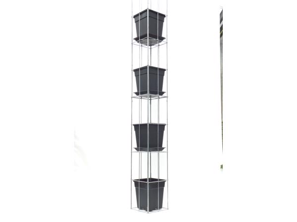 AARDBEIEN TOREN KLIMPLANTENREK etagère