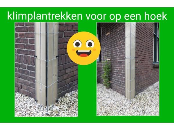 AARDBEIEN TOREN KLIMPLANTENREK etagère