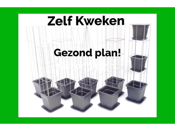 AARDBEIEN TOREN KLIMPLANTENREK etagère