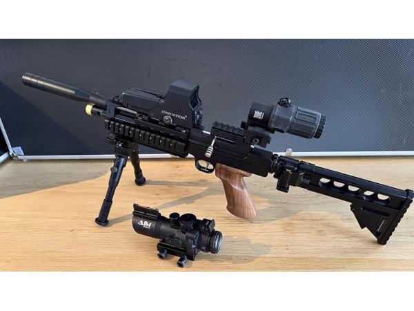 Artemis Pp800 .22 Tactical