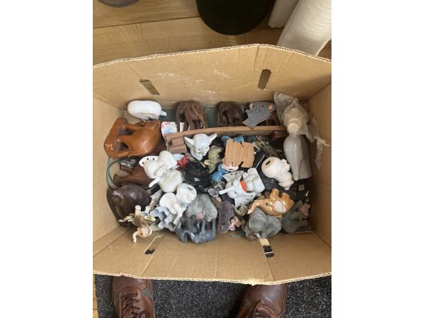 Olifanten en schelpen