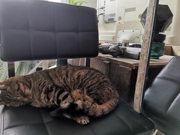 4 eetkamer stoelen zwart met metalen frame