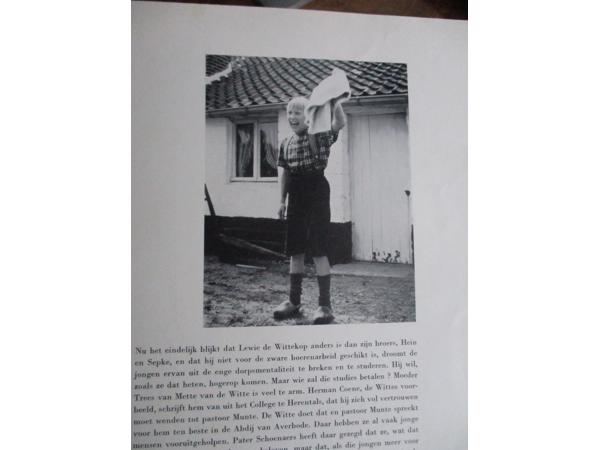 Maurits Balfoort  -  Wij Heren van Zichem