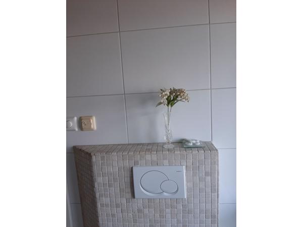 badkamer en keuken wandtegels
