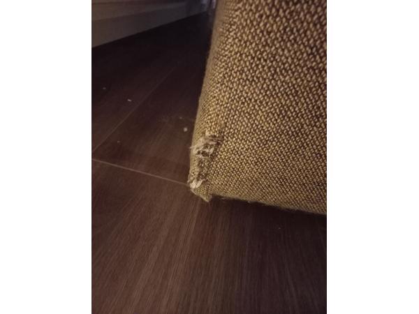 Gratis 2,5 en 3 zits bank - Gebruikt