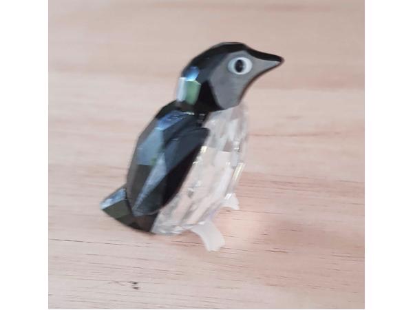 Swarovski Pinguin Meneer met doos vleugel gerepareerd