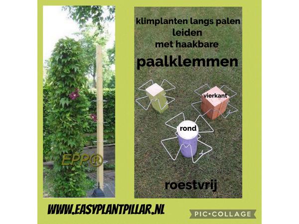 Decoratieve Plantensteunen voor op terras en balkon