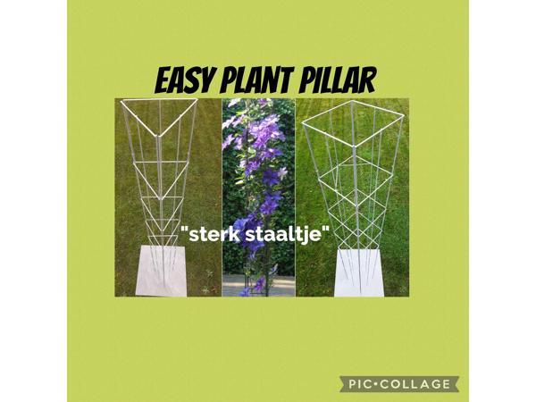 Decoratieve Plantensteunen voor op terras en balkon