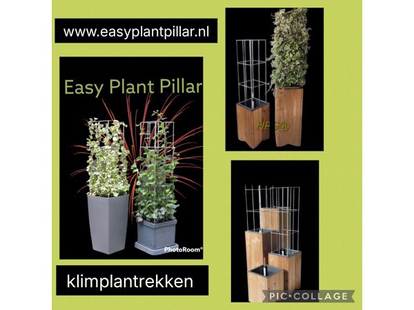 Decoratieve Plantensteunen voor op terras en balkon