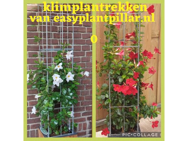 Decoratieve Plantensteunen voor op terras en balkon