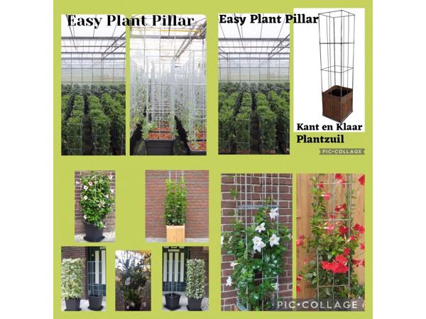 Decoratieve Plantensteunen voor op terras en balkon