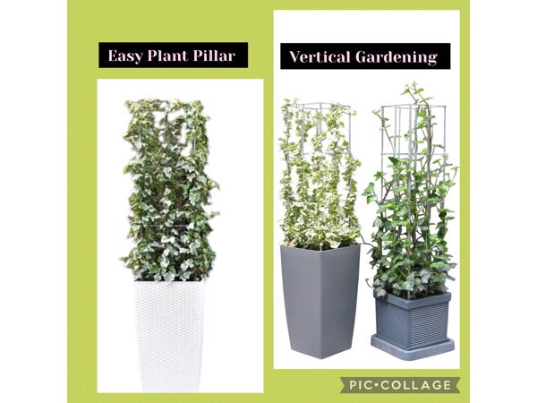 Decoratieve Plantensteunen voor op terras en balkon