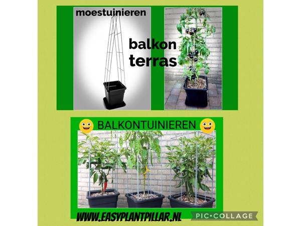 Decoratieve Plantensteunen voor op terras en balkon