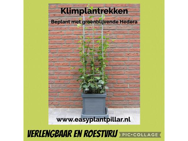 Decoratieve Plantensteunen voor op terras en balkon