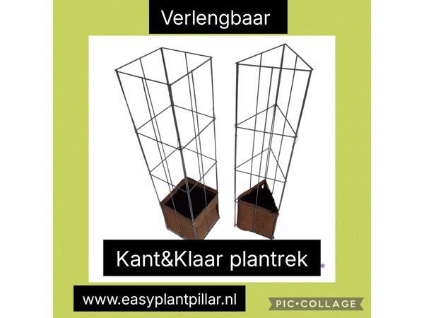 Decoratieve Plantensteunen voor op terras en balkon