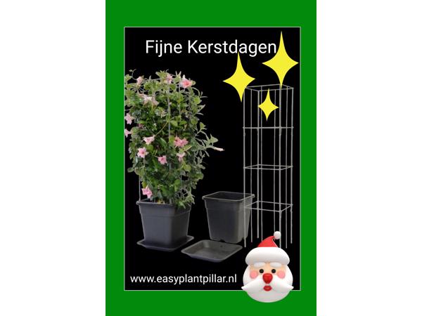 Decoratieve Plantensteunen voor op terras en balkon