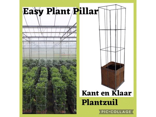 Decoratieve Plantensteunen voor op terras en balkon