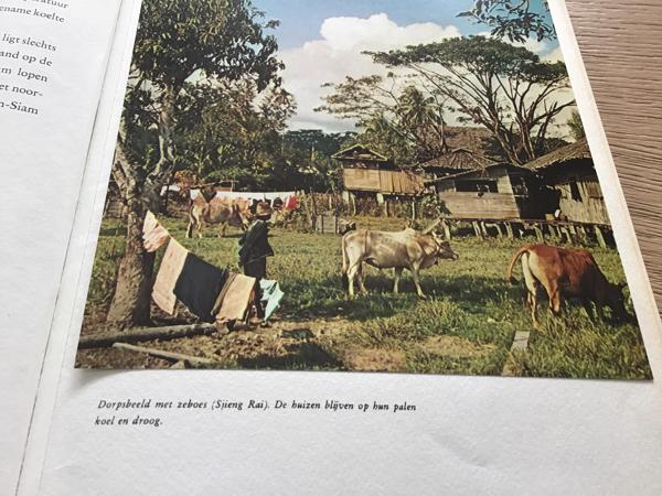 Boek v.THAILAND & SIAM EEN BELEVENIS om te reizen