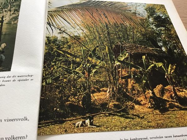 Boek v.THAILAND & SIAM EEN BELEVENIS om te reizen