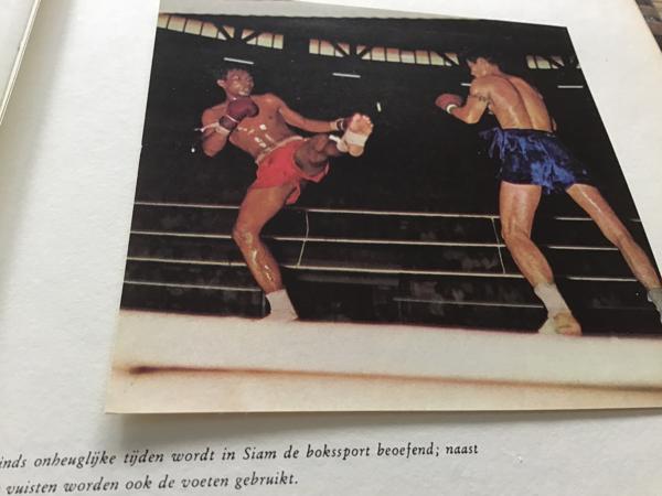 Boek v.THAILAND & SIAM EEN BELEVENIS om te reizen