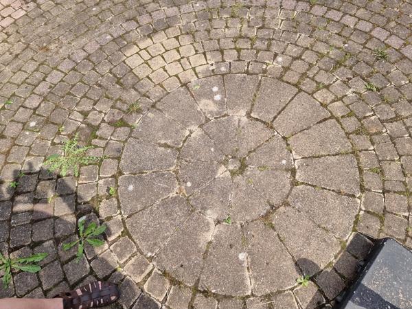 10x10cm cobblestones plus stenen cirkel