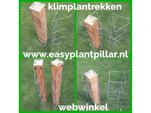 KLIMPLANTREK plantenrek plantrek plantrekken plantenrekken