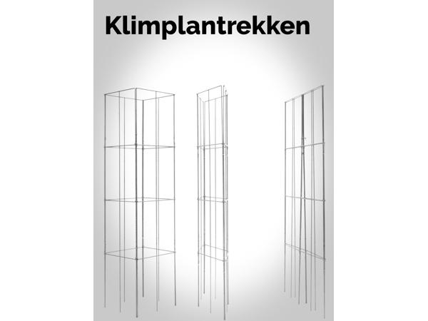 KLIMPLANTREK plantenrek plantrek plantrekken plantenrekken