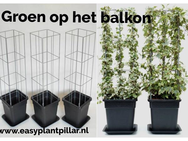 KLIMPLANTREK plantenrek plantrek plantrekken plantenrekken