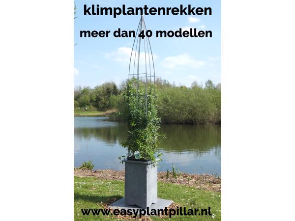 KLIMPLANTREK plantenrek plantrek plantrekken plantenrekken