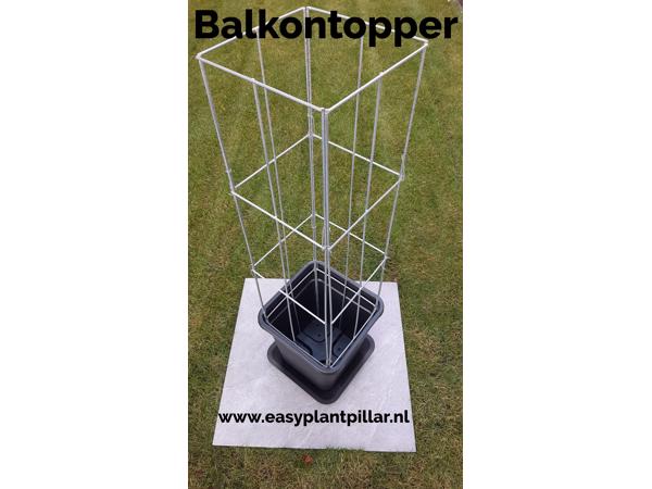 KLIMPLANTREK plantenrek plantrek plantrekken plantenrekken