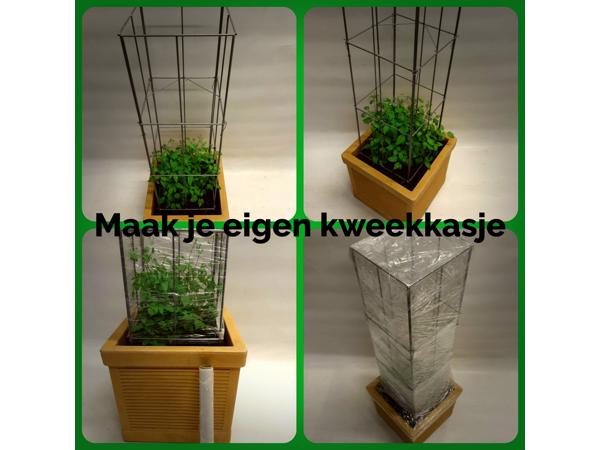 KLIMPLANTREK plantenrek plantrek plantrekken plantenrekken