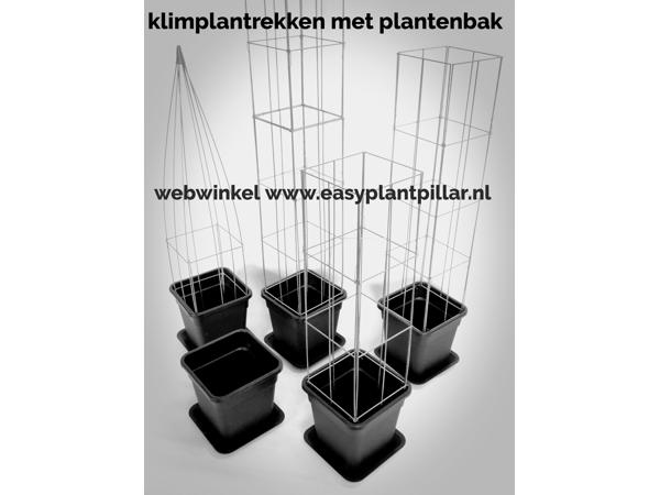 KLIMPLANTREK plantenrek plantrek plantrekken plantenrekken