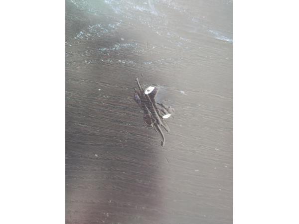 Gratis af te halen Ikea Bjursta uitschuifbare zwarte tafel