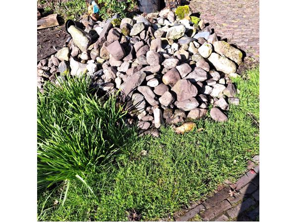 Mooi aantal veld keien