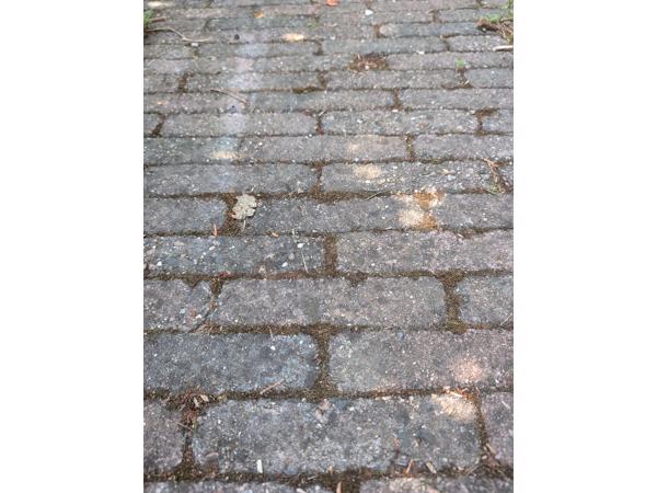 Betonklinkers (±18 m²) – zelf verwijderen