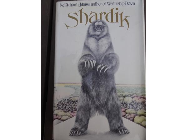 Diverse Engels talige boeken