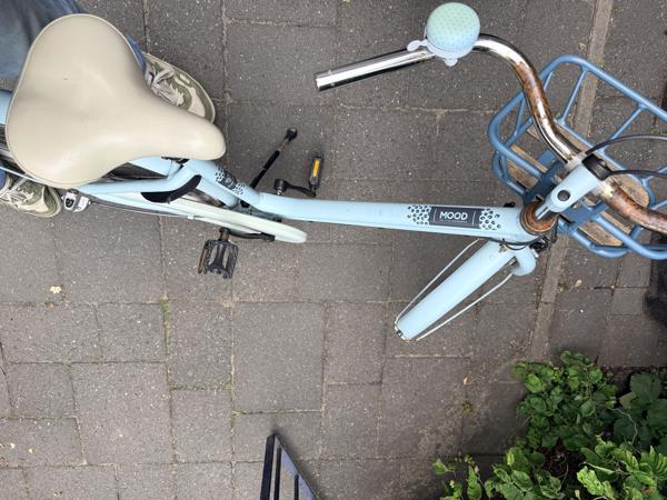 Alpina Mood meisjesfiets 24inch