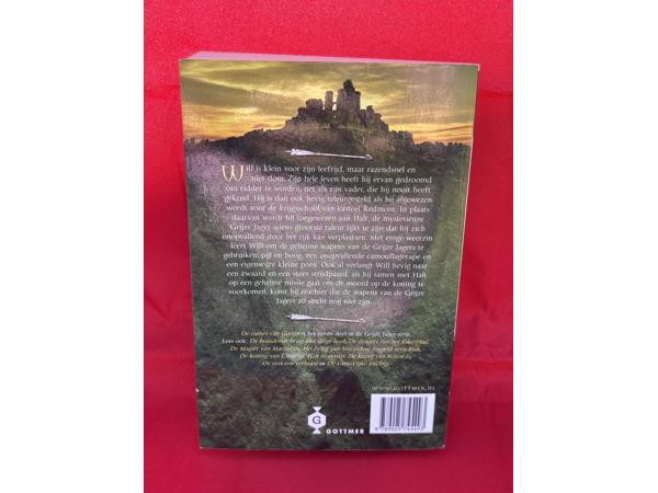 Tienerboeken leeftijd 9 plus 10 plus 12 plus leesboeken