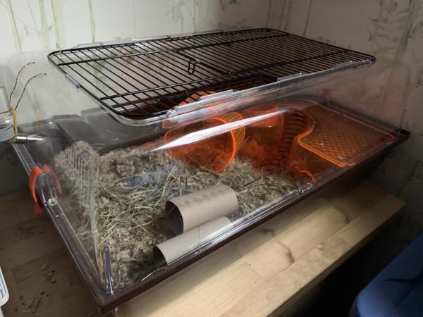 Nieuwe hamsterkooi in perfecte staat en 1 dwerghamstertje
