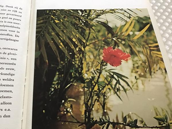 Boek van Braziliè prachtig land om te reizen de moeite waard