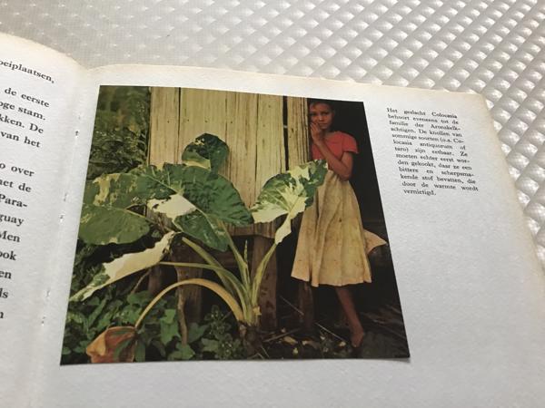 Boek van Braziliè prachtig land om te reizen de moeite waard