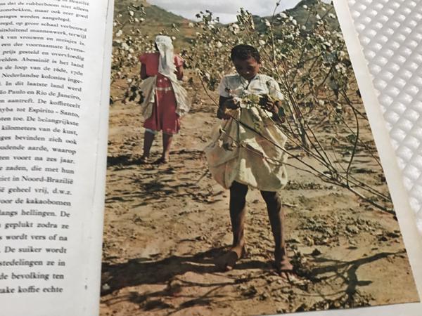Boek van Braziliè prachtig land om te reizen de moeite waard