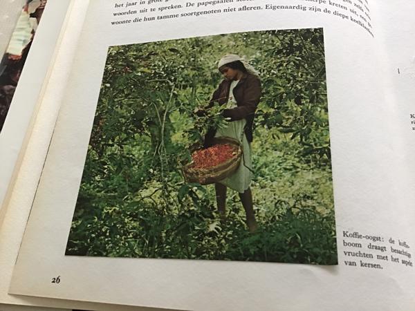 Boek van Braziliè prachtig land om te reizen de moeite waard